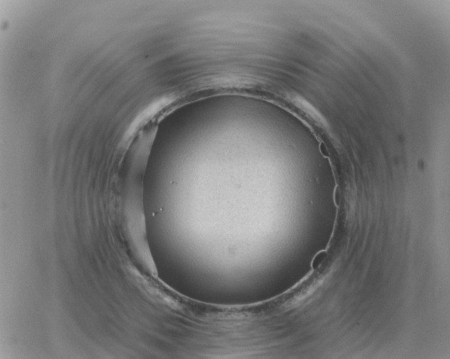 X0000065960930200603172021