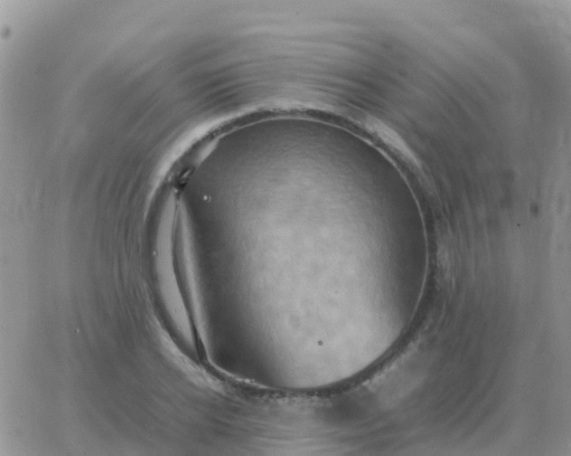 X0000065960934200603172021