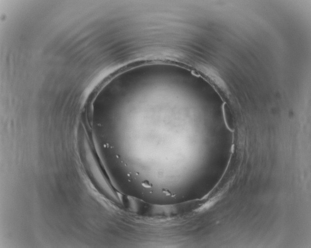 X0000065960936200603172021