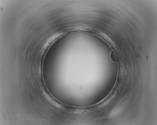 X0000065960938200603172021