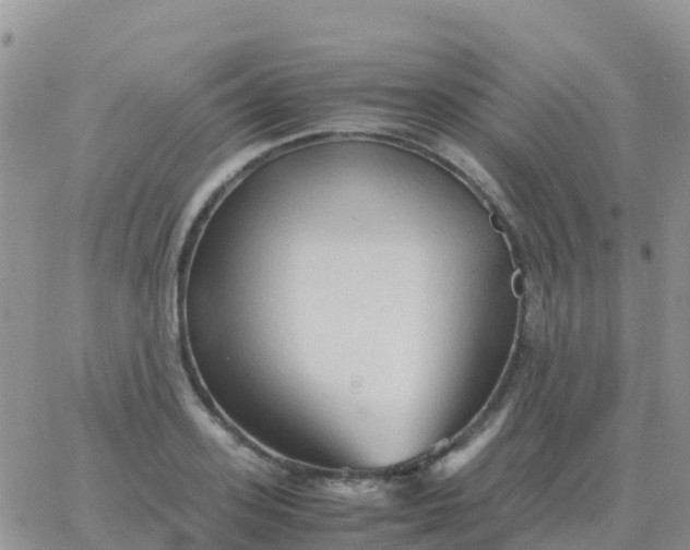 X0000065960939200603172021