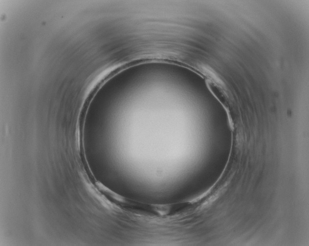 X0000065960940200603172021