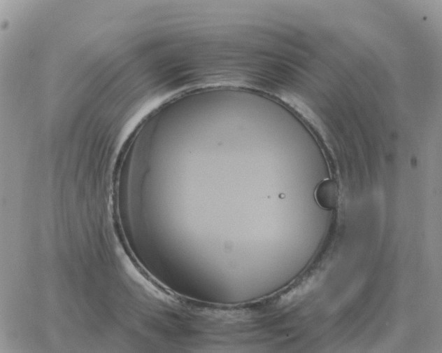 X0000065960941200603172021