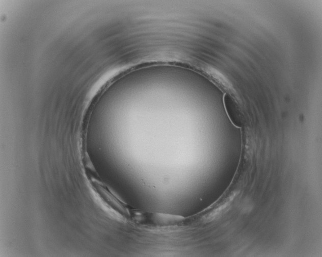 X0000065960942200603172021