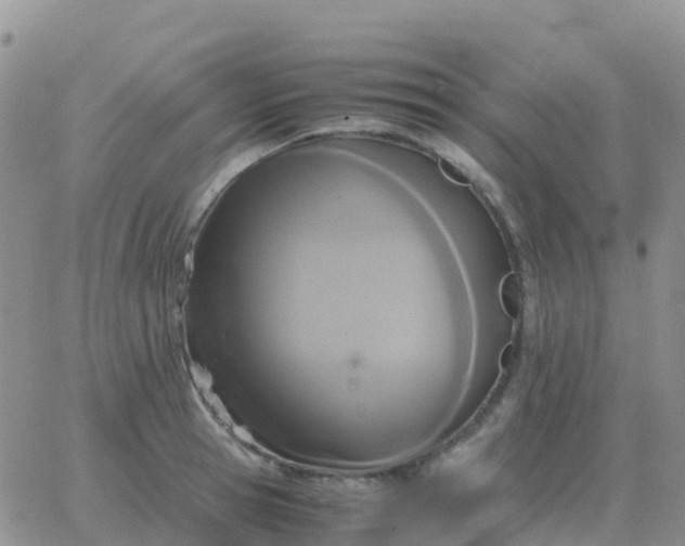 X0000065960945200603172021