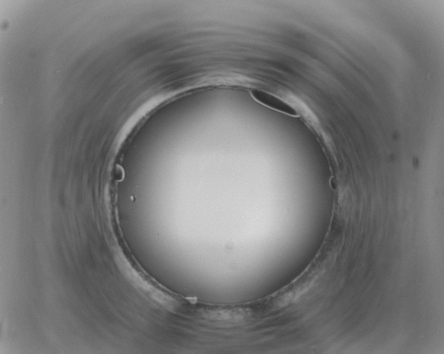 X0000065960947200603172021