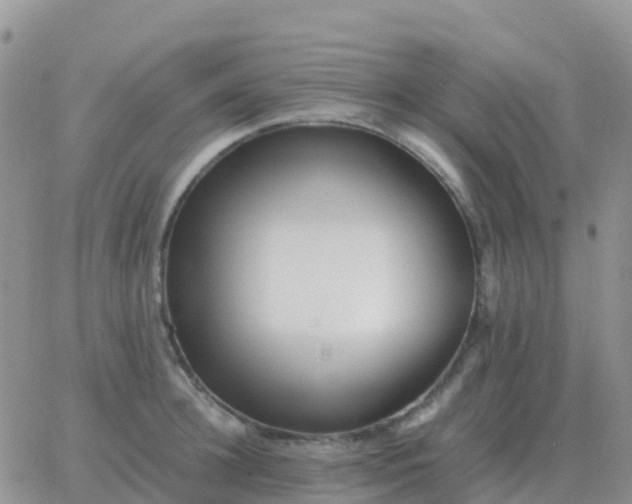 X0000065960948200603172021