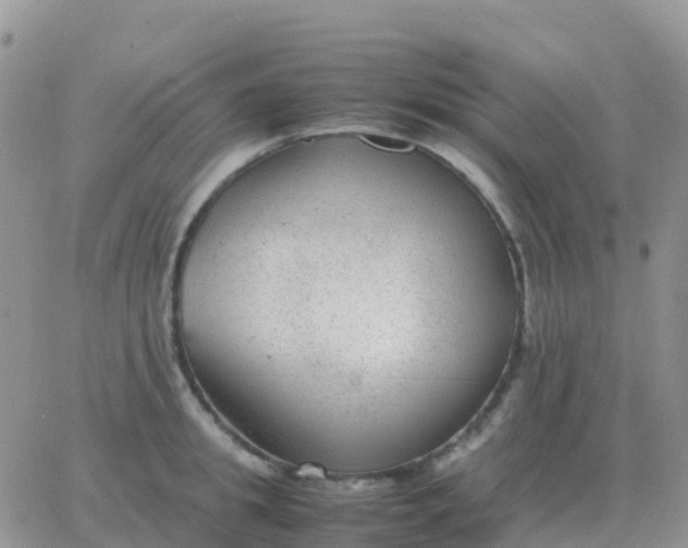 X0000065960949200603172021