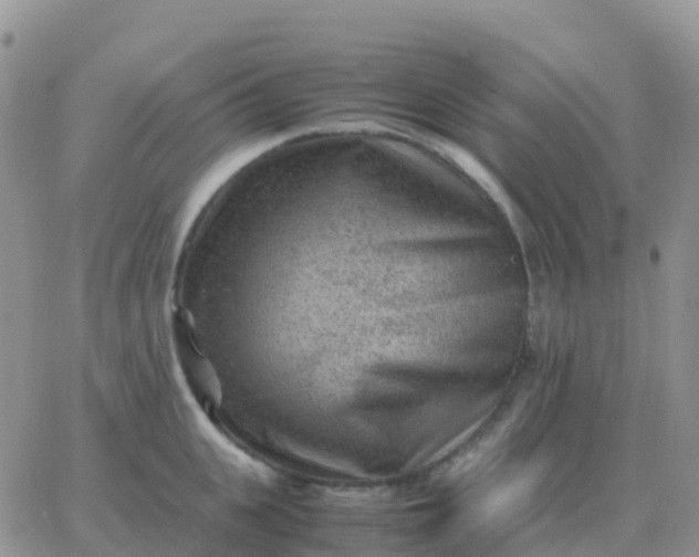 X0000065960951200603172021