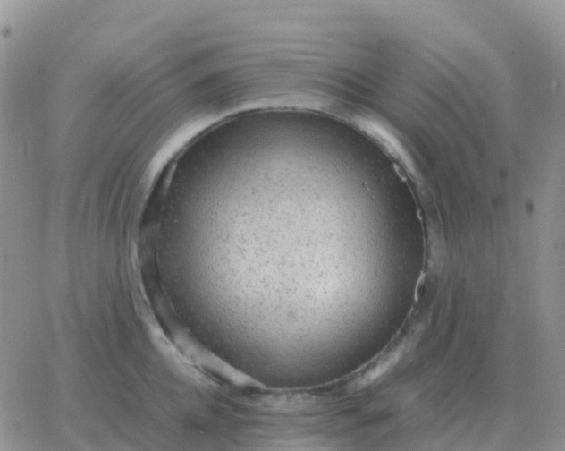 X0000065960952200603172021