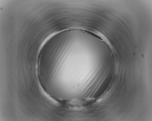 X0000065960955200603172021