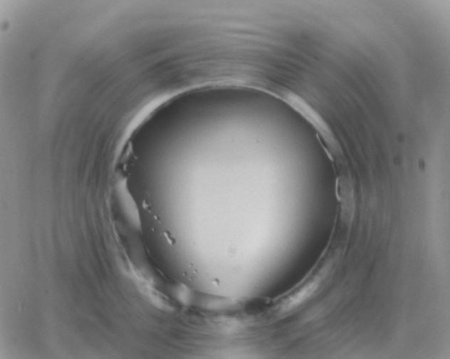 X0000065960956200603172021