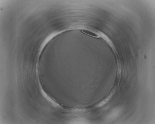 X0000065960958200603172021