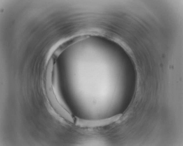 X0000065960960200603172021