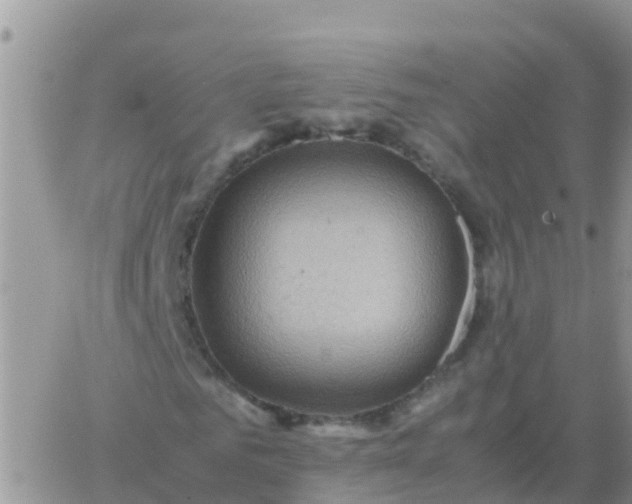 X0000065960961200603172020