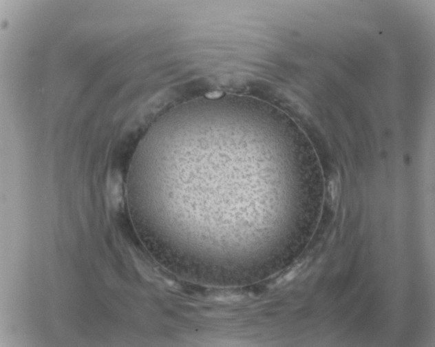 X0000065960963200603172020