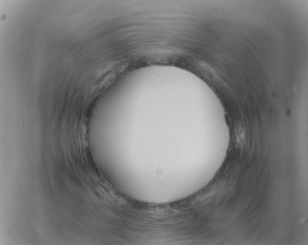 X0000065960964200603172020