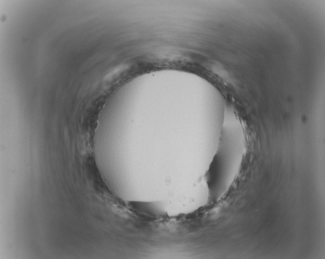 X0000065960965200603172020