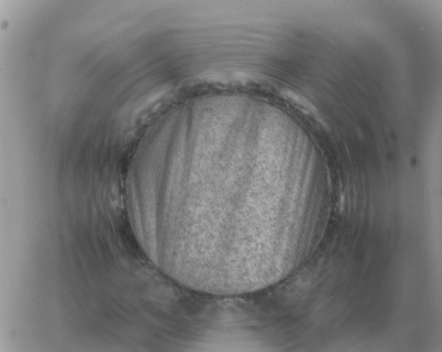 X0000065960966200603172020