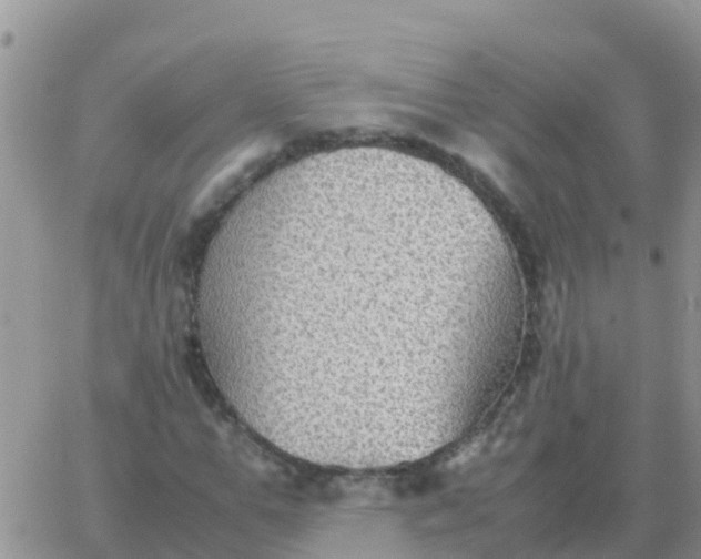 X0000065960967200603172020