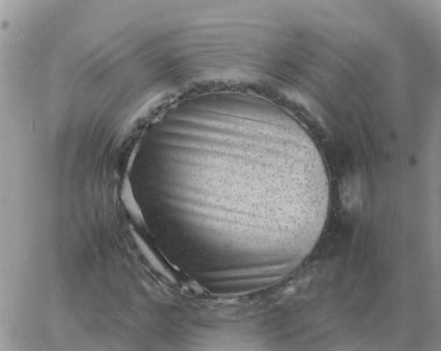 X0000065960968200603172020