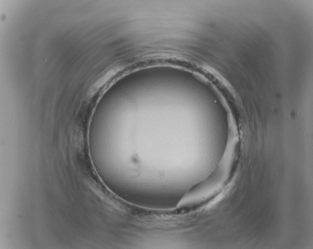 X0000065960969200603172020