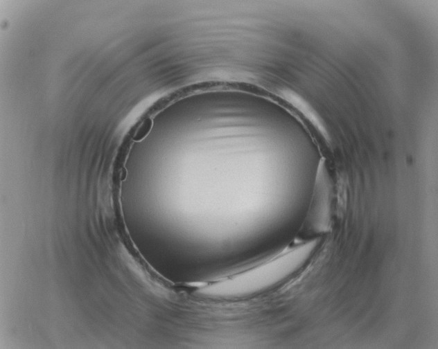 X0000065960972200603172020