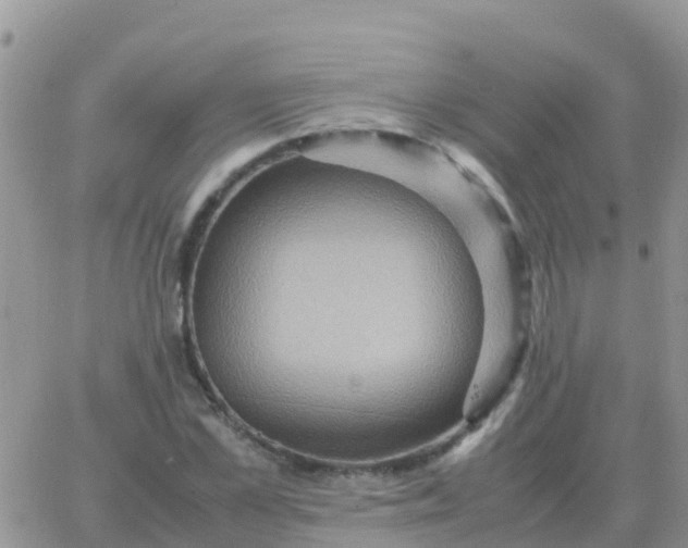 X0000065960973200603172020