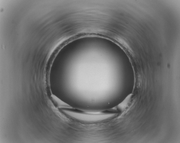 X0000065960976200603172020