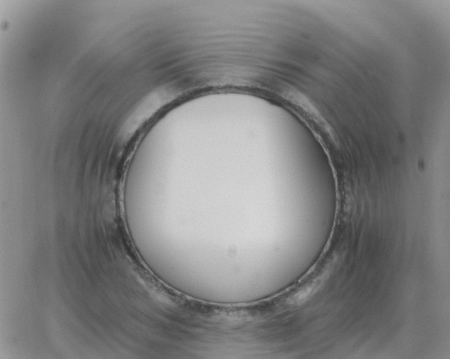 X0000065960978200603172020