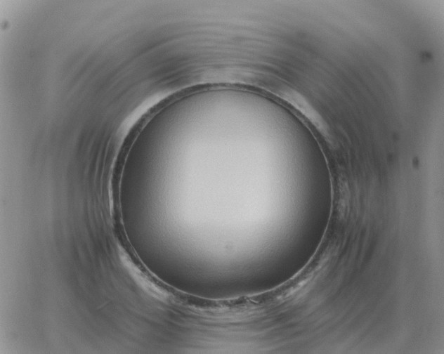 X0000065960980200603172020