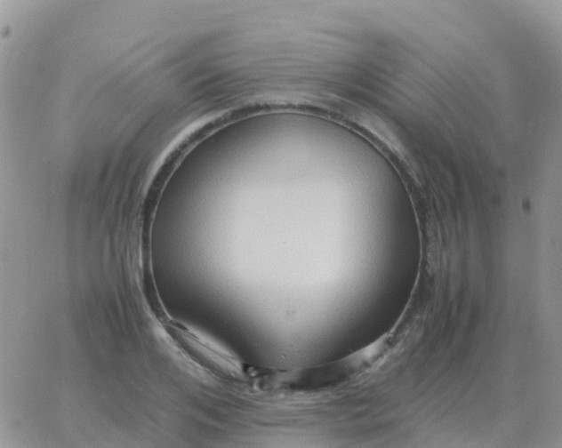 X0000065960984200603172020