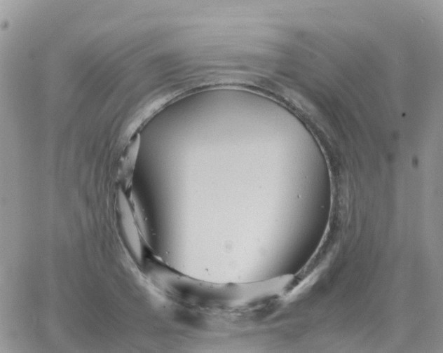 X0000065960985200603172020