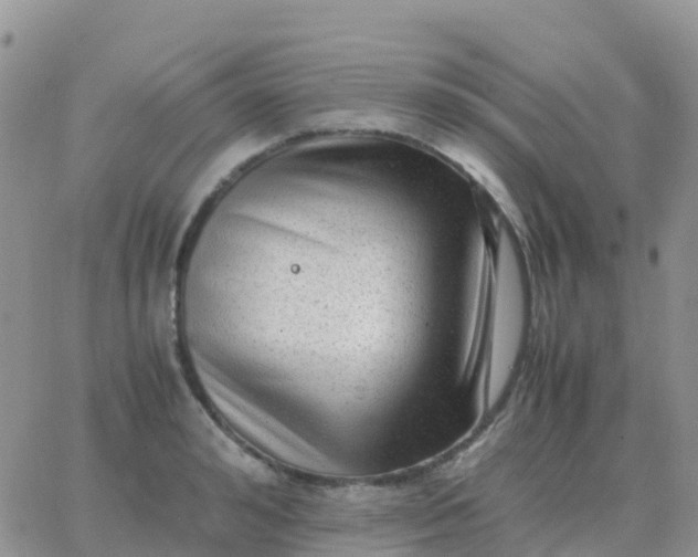 X0000065960992200603172020