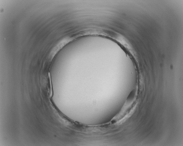 X0000065960993200603172020