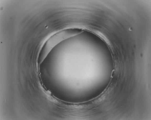 X0000065960996200603172020