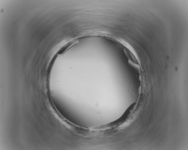 X0000065960997200603172020