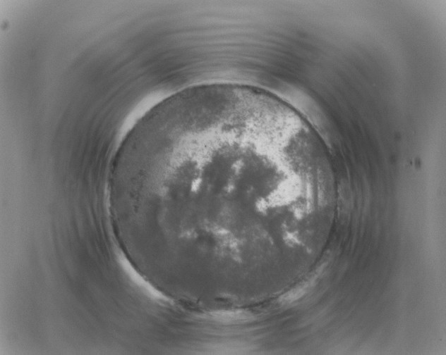 X0000065960998200603172020