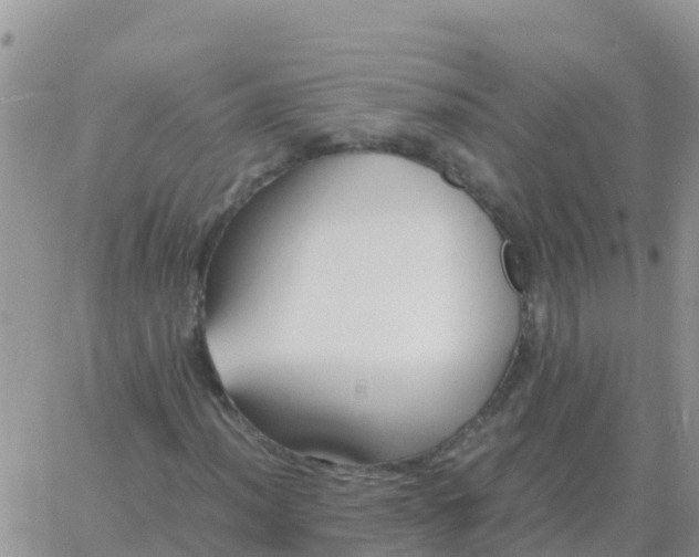 X0000065961012200603172019