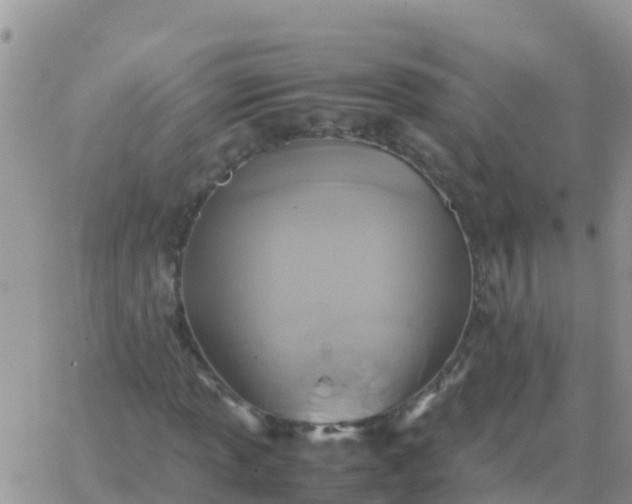 X0000065961013200603172019