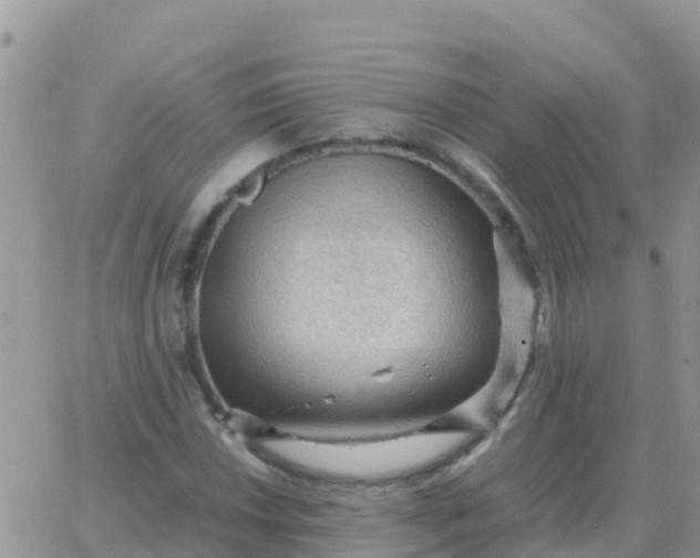 X0000065961018200603172019