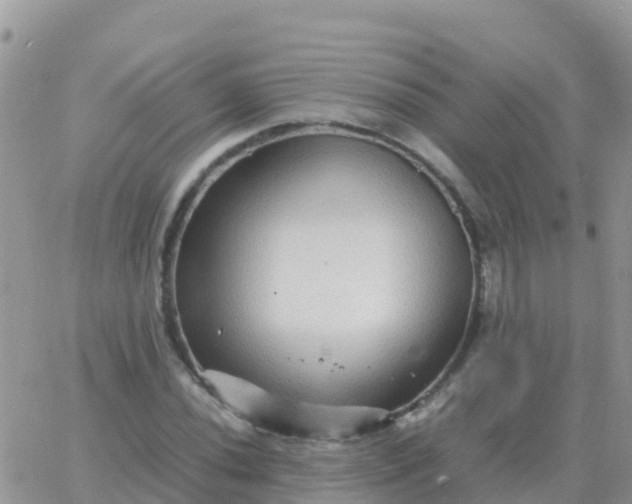 X0000065961020200603172019