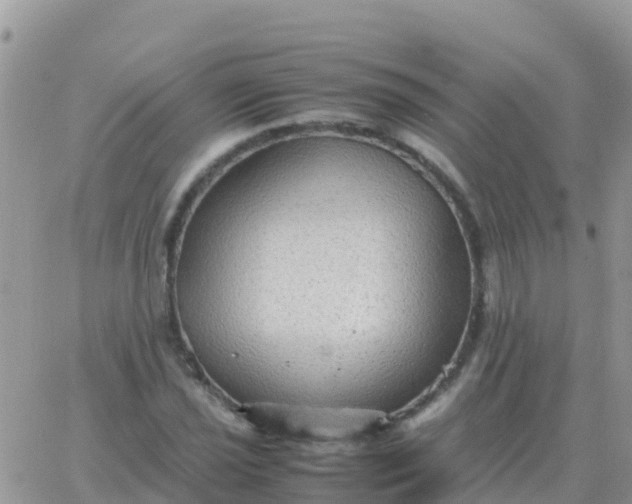 X0000065961021200603172019