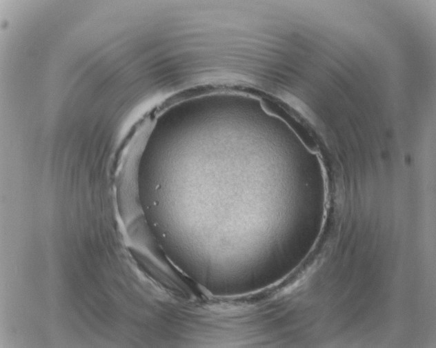 X0000065961022200603172019