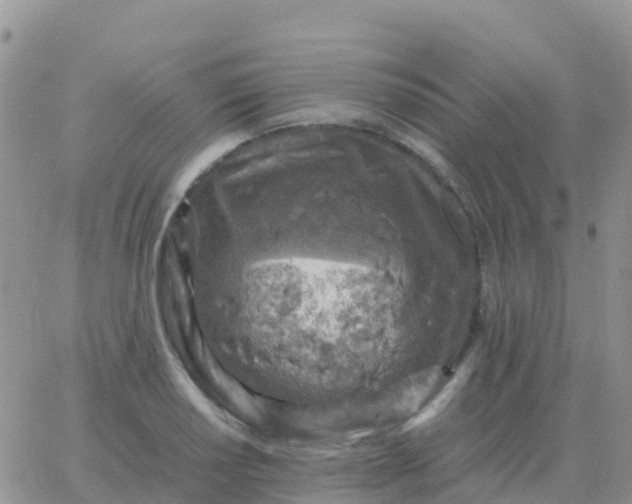 X0000065961034200603172019