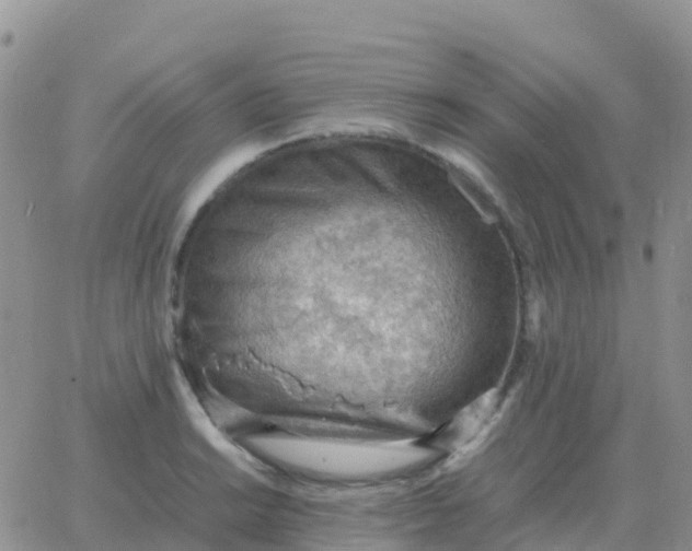 X0000065961038200603172019