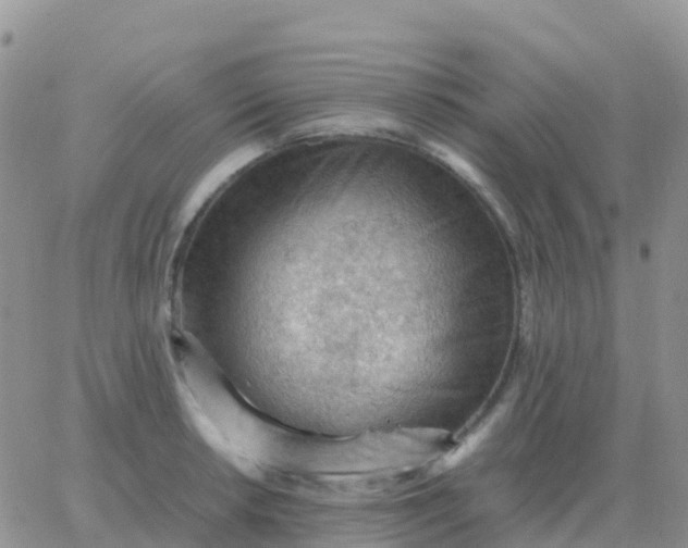 X0000065961042200603172019