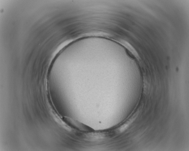 X0000065961044200603172019