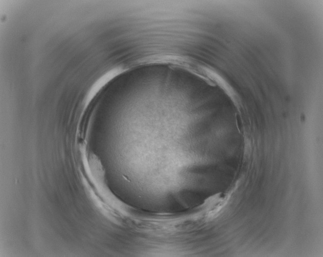 X0000065961050200603172019