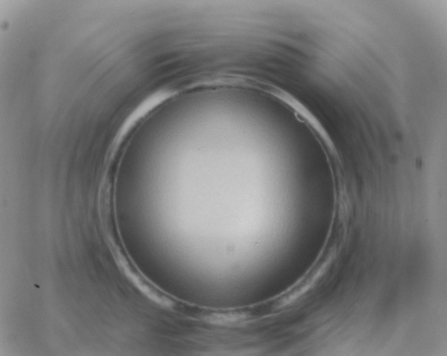 X0000065961053200603172019